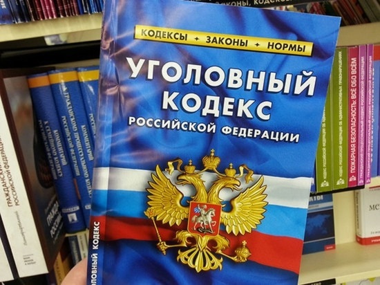 Минюст предложил убрать из Уголовного кодекса три «экономические» статьи