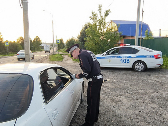 В Вязниках девушка заплатит 20 тысяч рублей за укус инспектора ДПС