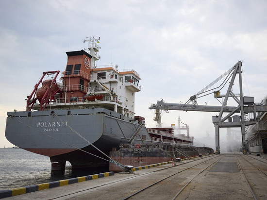 Координационный центр согласовал проход 5 августа трёх судов с зерном из портов Украины