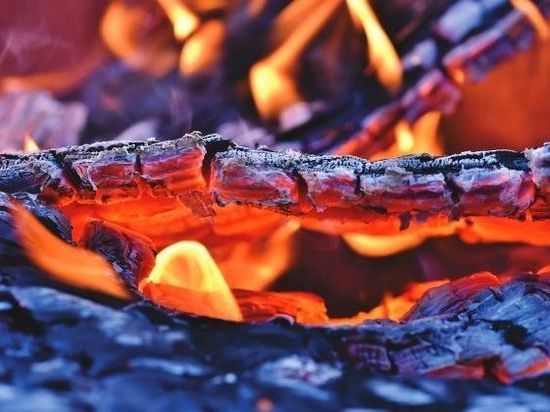Газовые баллоны успели эвакуировать из пожара под Новосибирском