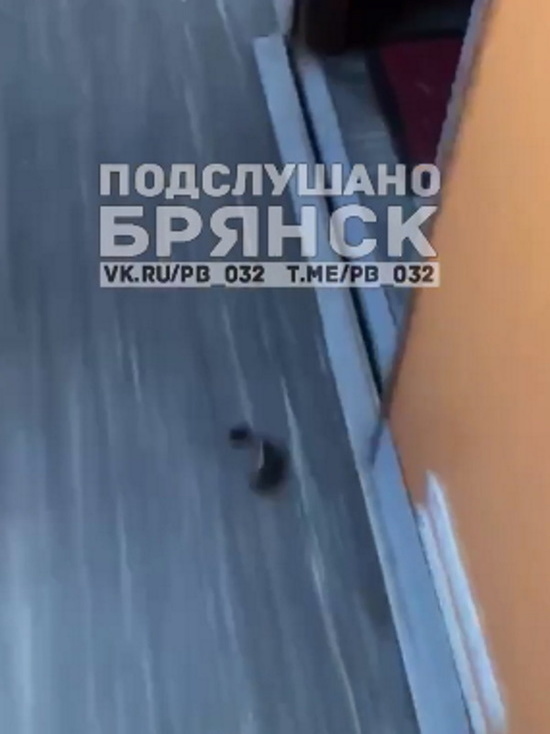 Под осколки сбитой над Брянщиной ракеты попал поезд Климово — Москва