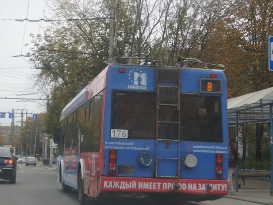 Шапша рассказал, ликвидируют ли в Калуге троллейбусы