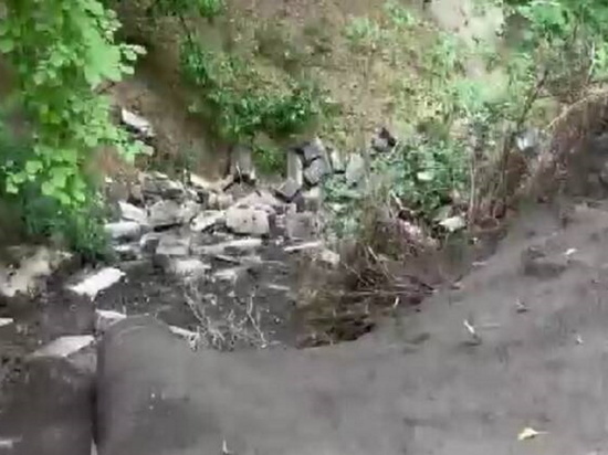 Брянчанку возмутила свалка на Кургане Бессмертия