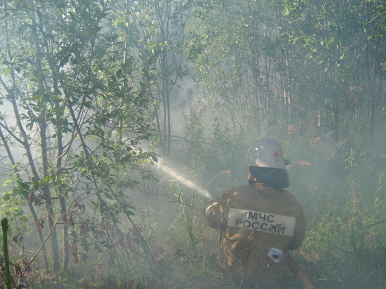 За сутки в Ивановской области произошли два лесных пожара