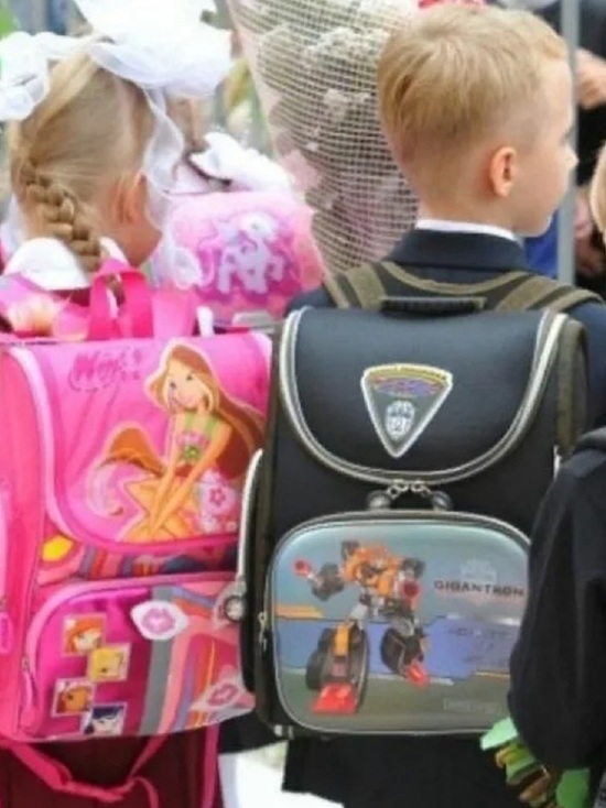 Костромские деньги: свыше 8 тыс семей получат из бюджета выплату на сборы первоклассников в школу