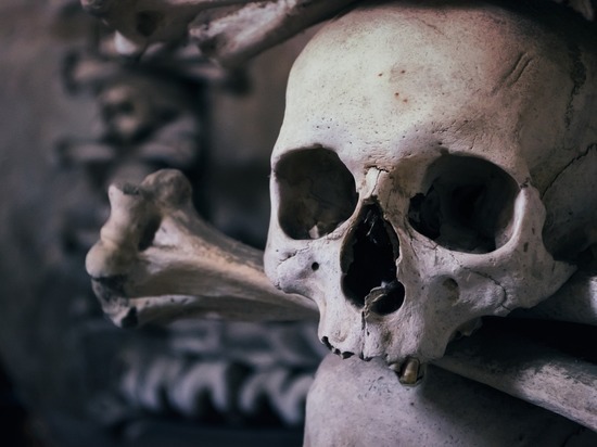 Житель Разметелово нашел человеческий череп рядом с гаражом