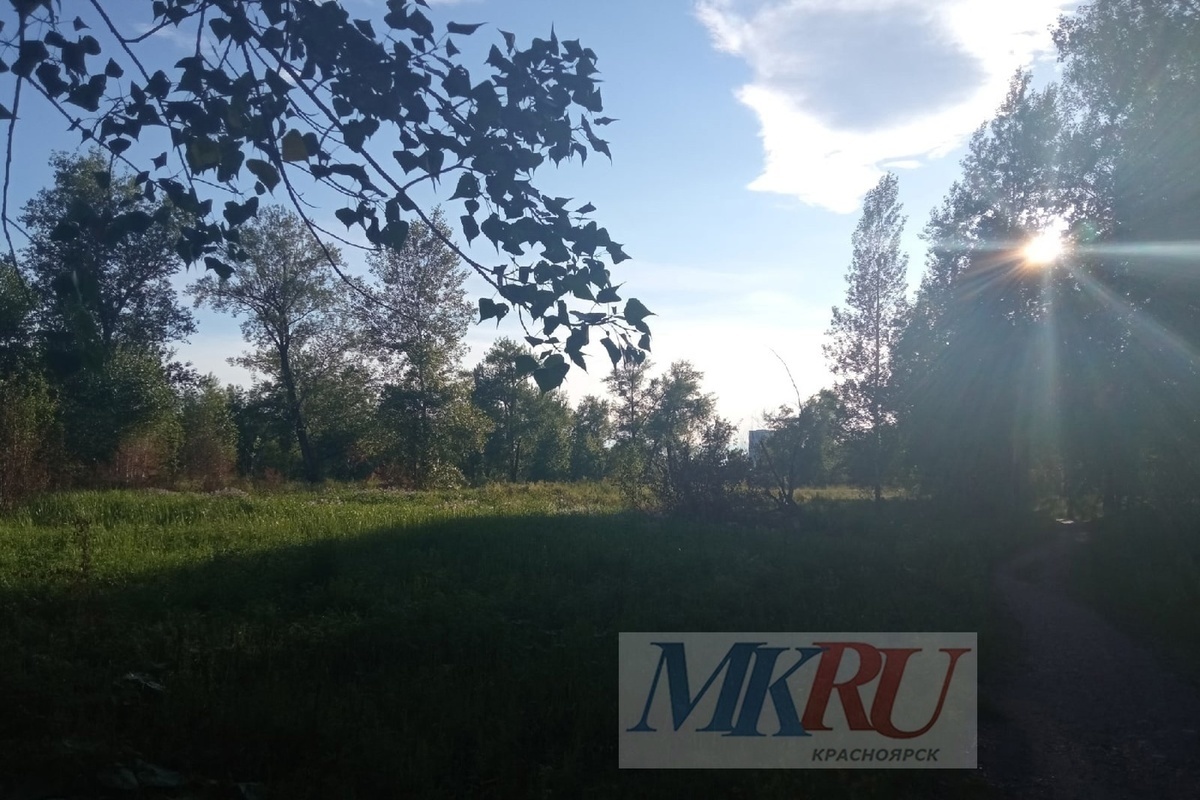 Ульяновский парк красноярск. Красноярск 6 августа. Красноярск 6 августа. Гвардейский парк красноярск. Гостиницы красноярска в центре.