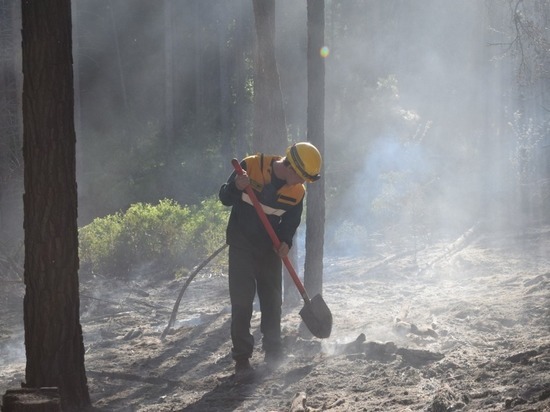 На севере Бурятии тушили лесной пожар