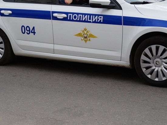 В Калужской области взят под стражу, совершивший разбойное нападение детей