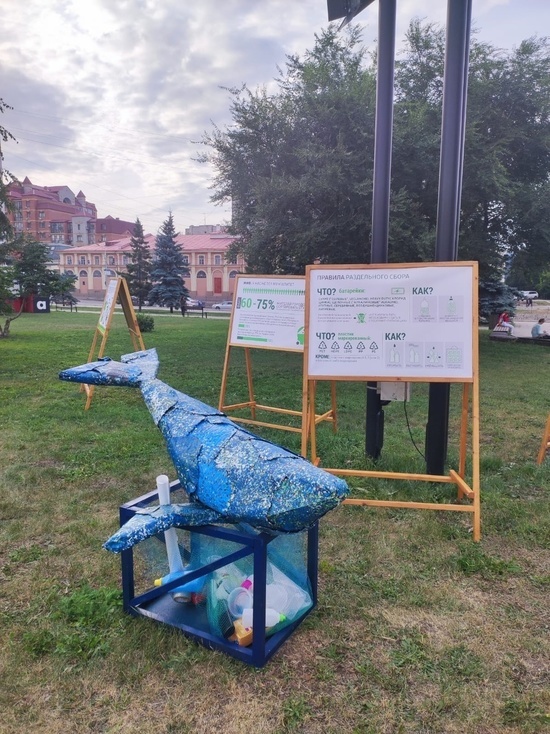 Художники и скульпторы из Красноярска представили работы на фестивале мусорного искусства