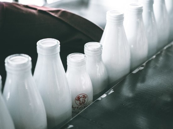 Во ввезенном в Калининград из Нидерландов заменителе цельного молока для поросят нарушены ветеринарные требования
