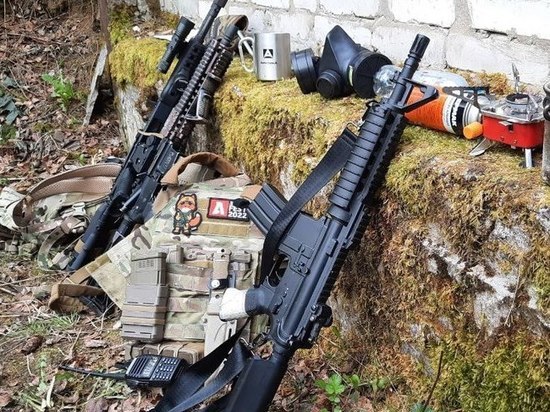 Жители Демянска заплатят 240 тысяч рублей за незаконную охоту на лося