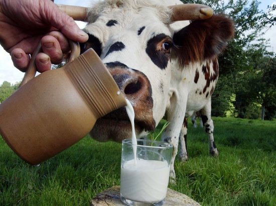 В Кировской области производят молоко на оборудовании машиностроителей