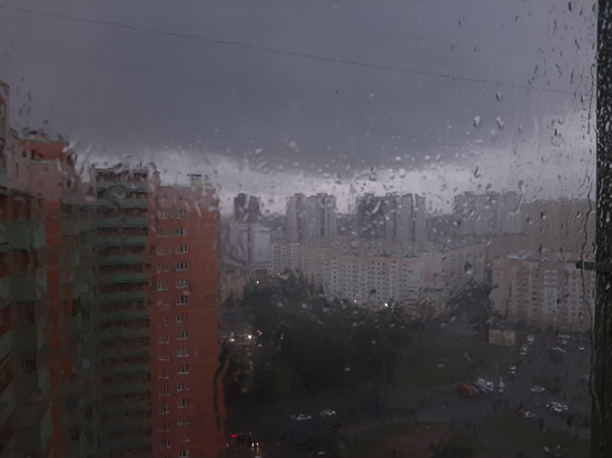 Коммунальщики приступили к ликвидации последствий шторма в Петербурге