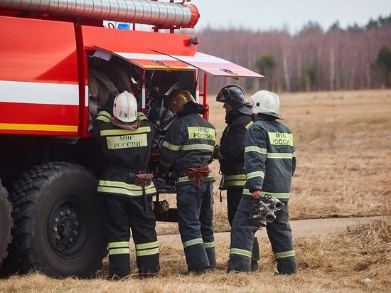 В Тверской области целый день тушили торфяной пожар