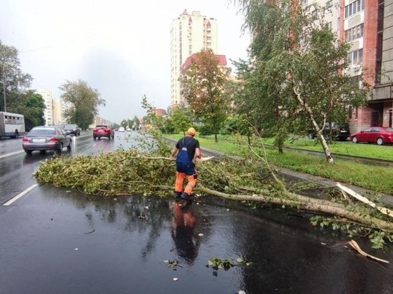 Борис Елкин рассказал о последствиях аномального дождя для города