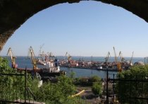 Четыре судна с продовольствием получили разрешение на выход 7 августа из портов Черноморска и Одессы