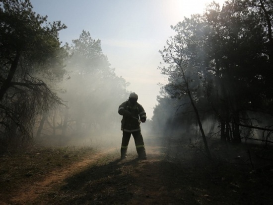 МЧС предупредило волгоградцев о чрезвычайной пожароопасности 7 августа