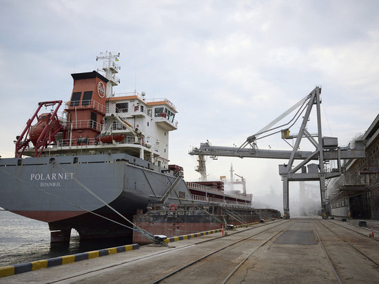Минобороны Турции: четыре судна с агропродукцией следуют из Украины в Стамбул