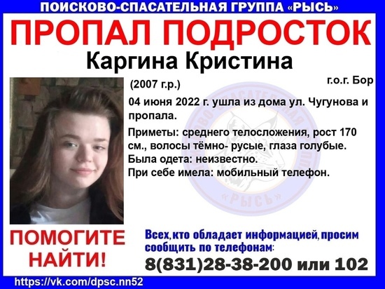 15-летняя школьница пропала в Нижегородской области