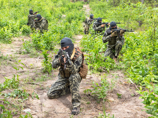 Воюющим на стороне Киева иностранным боевикам грозит судебное преследование у себя на родине