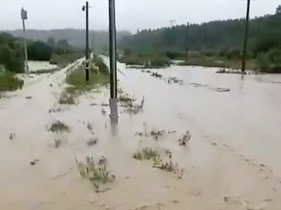 Железнодорожный переезд на Сахалине превратился в реку: жители ловят горбушу руками