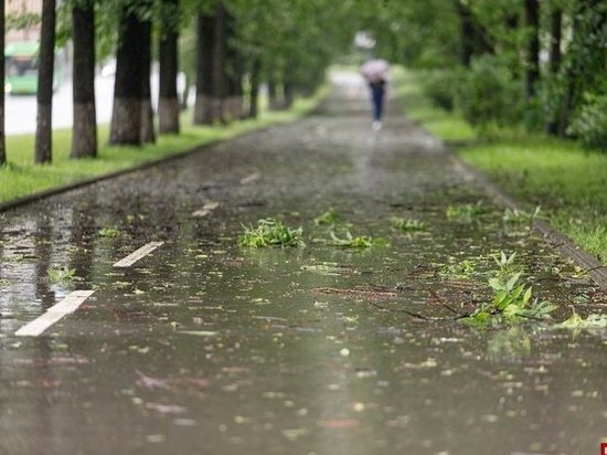 Кратковременные дожди пройдут в Псковской области 8 августа
