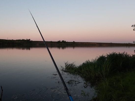 Под Рязанью на берегу озера обнаружили труп 66-летнего рыбака