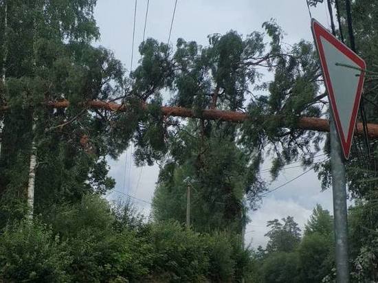 В 47 поселков Ленобласти вернули электричество после урагана