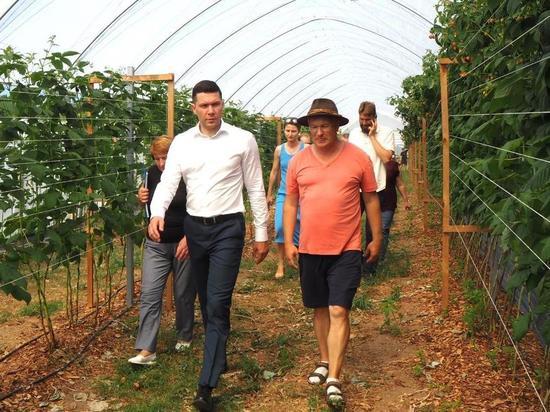 Алиханов посетил ягодное хозяйство под Зеленоградском