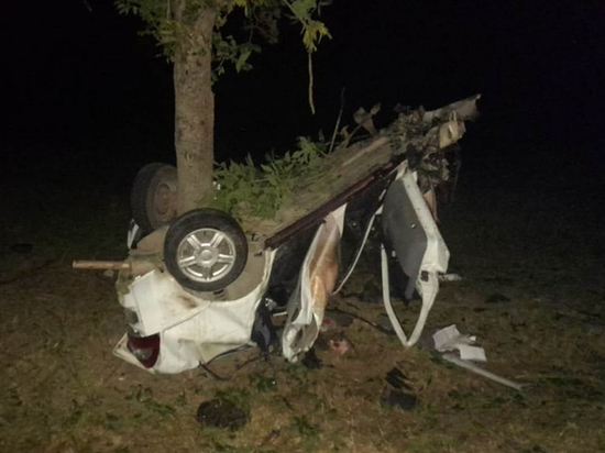 Водитель LADA врезался в дерево и скончался на месте в Адыгее