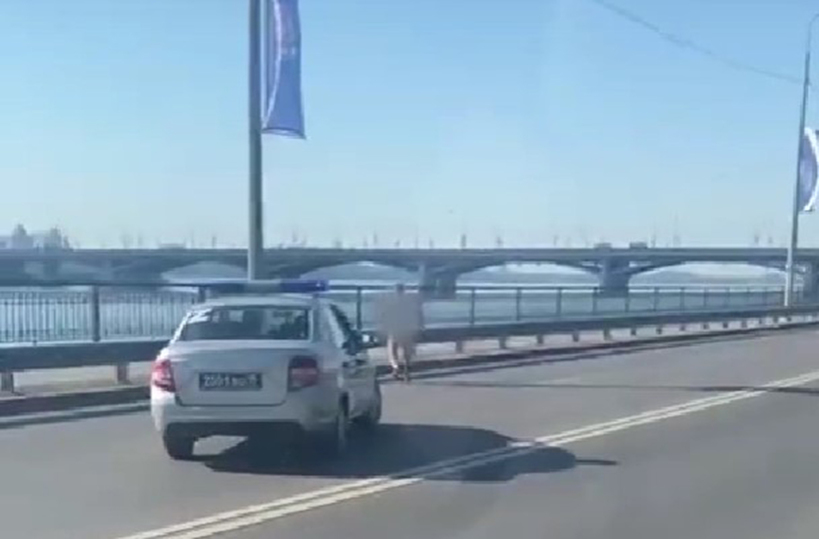 В варанаре паймон нашла рисунок