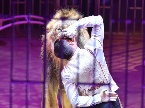 В Воронежском цирке дрессировщик засовывает голову в пасть льву и носит его на руках