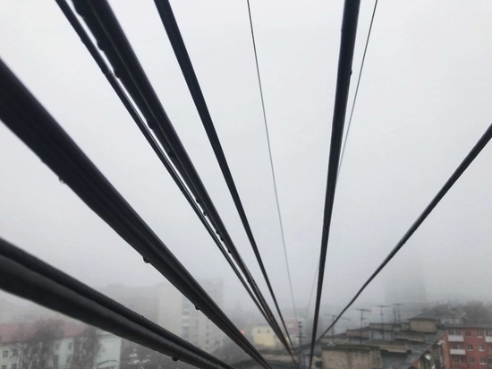 МЧС предупреждает о тумане в Тверской области, видимость снизится до 300 метров