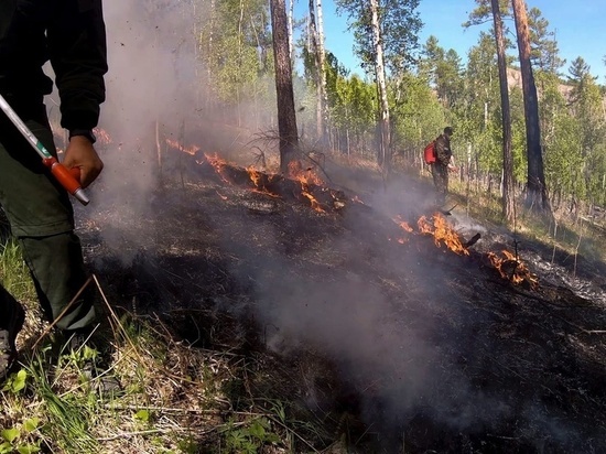 В Хакасии недалеко от поселка потушили лесной пожар