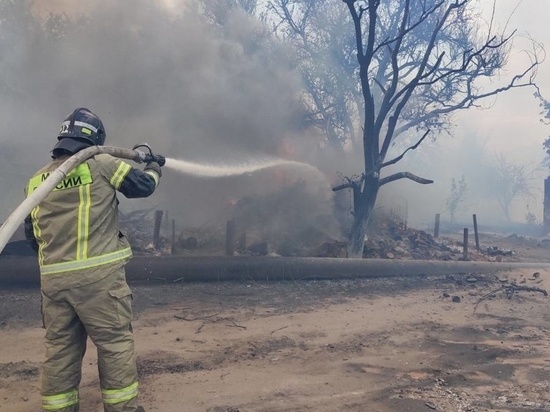 На севере Волгограда спасатели полностью устранили возгорание