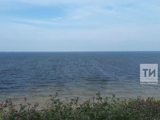Татарстанец погиб во время купания в необорудованном пляже в Мамадыше