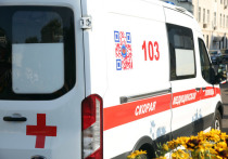 12-летнюю девочку насмерть сбил товарный поезд в Чеховском районе 7 августа