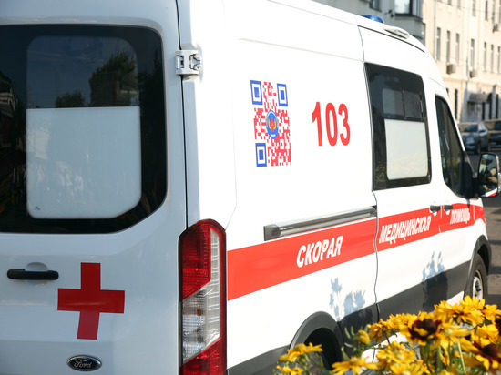 12-летняя девочка погибла под колесами товарного поезда в Подмосковье