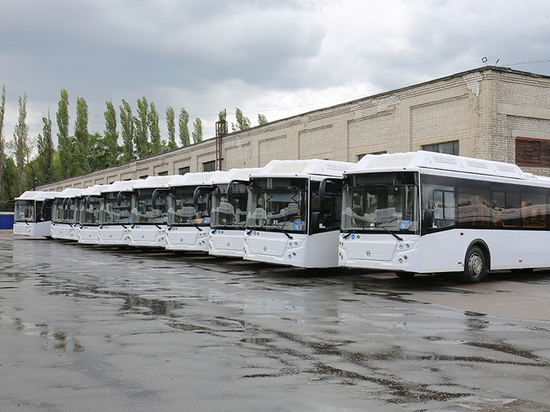 Два новых автобуса за первые два дня выхода на линию попали в Воронеже в аварию