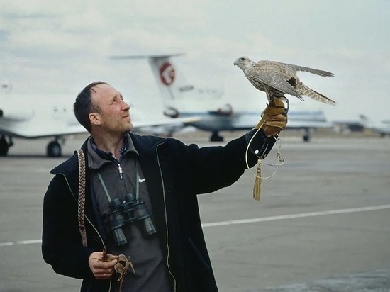 В Мичуринском районе состоятся всероссийские соревнования охотников с ловчими птицами