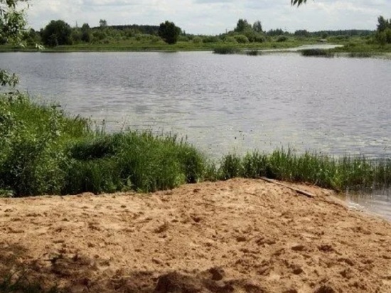 В Ярославской области молодая девушка спасла двух детей