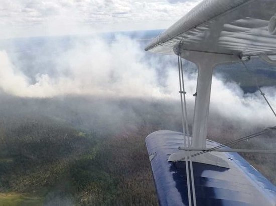 Лесопожарную обстановку в Поморье обсудили в минлеспроме области