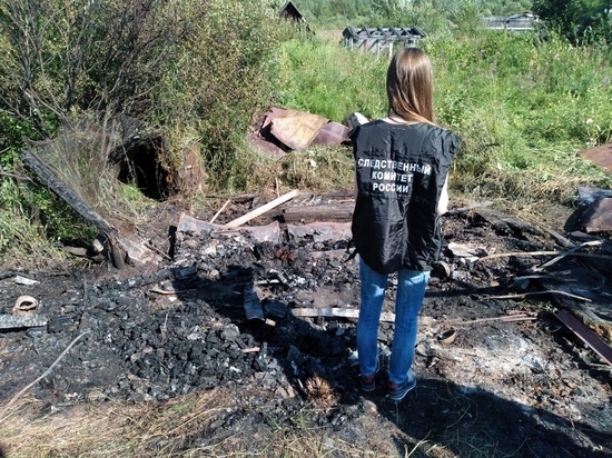 Тело мужчины обнаружили на месте пожара, произошедшего в городе Карелии