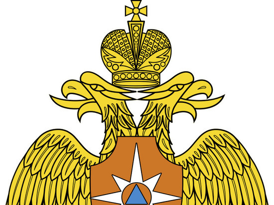 В МЧС появилась новая должность