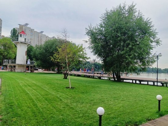 В воронежском парке «Дельфин» посетителям разрешили устраивать пикники на вновь посаженной траве