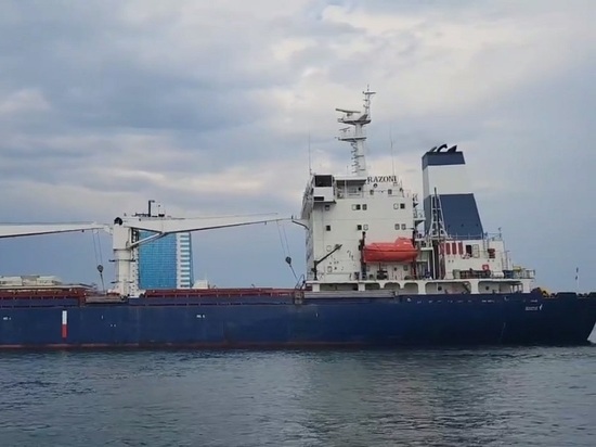 Покупатель отказался от украинского зерна с судна Razoni