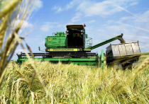 Потери зерна в России в 2022-м могут достичь 15% от возможного сбора