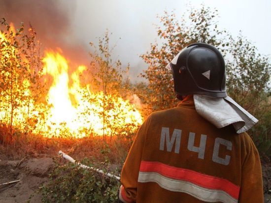 В Тамбовской области вводят режим чрезвычайной пожарной опасности