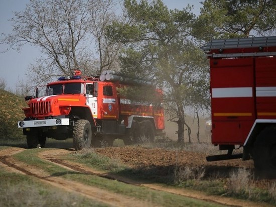 Под Волгоградом спасатели 8 часов тушили крупный лесной пожар